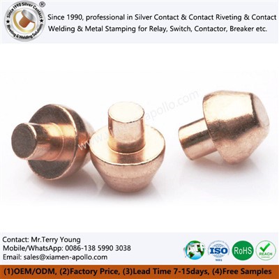 Bakrena zakovica glava gljiva